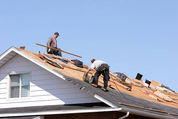 Best Roof Ventilation Installation  in Cinco Ranch, TX